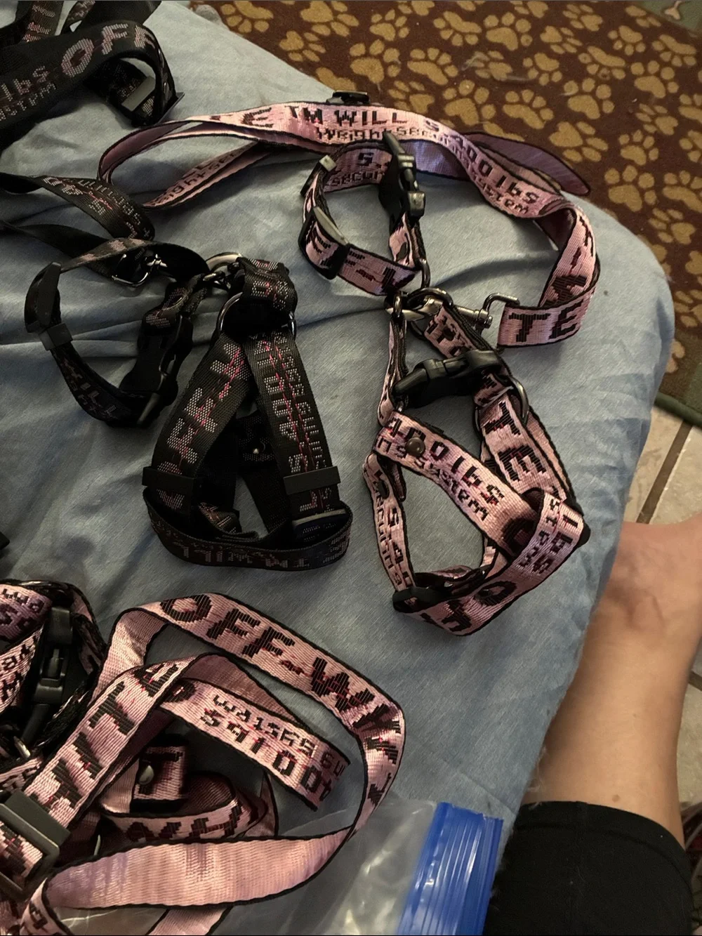 2xsmall, one small off white
Leash, collar, step in double clamp harness - Picture 1 of 5